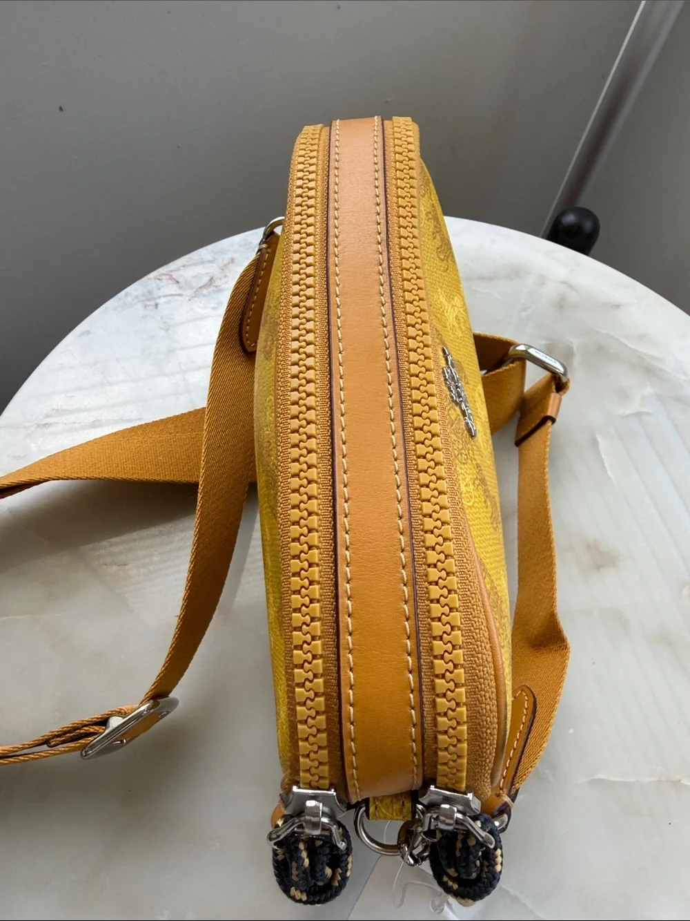 NWT Coach Crossbody Pouch